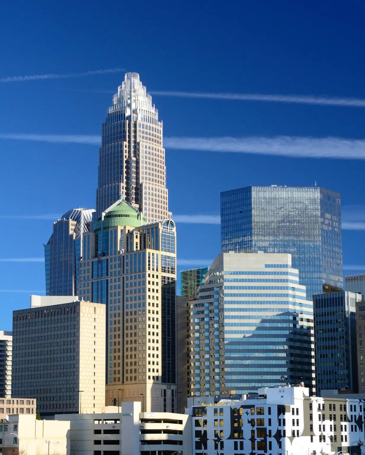 Association Management: A Comprehensive Guide to Successful Operations in Charlotte, NC